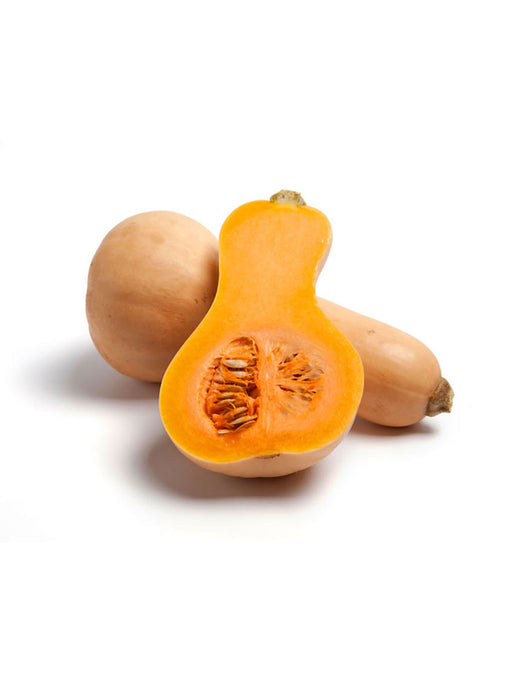quis autem veleuminium