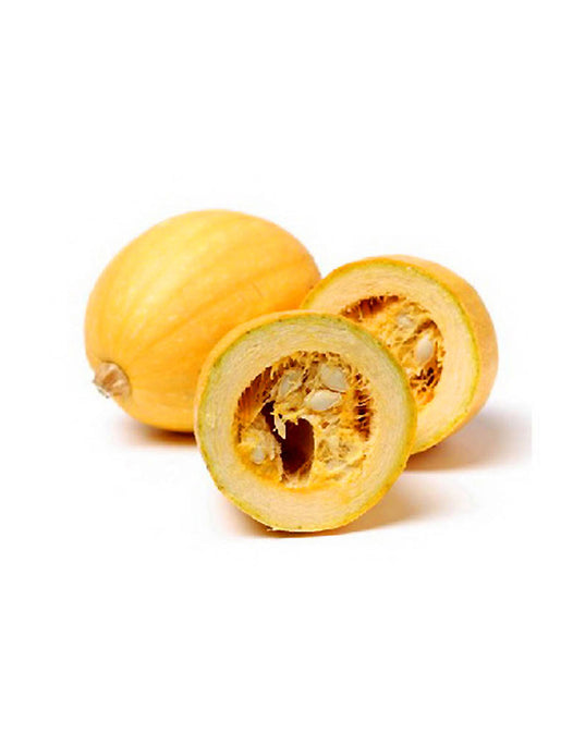quis autem veleuminium