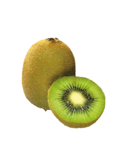 fugiat olutas nulla