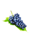 aliquam quaerat voluptatem