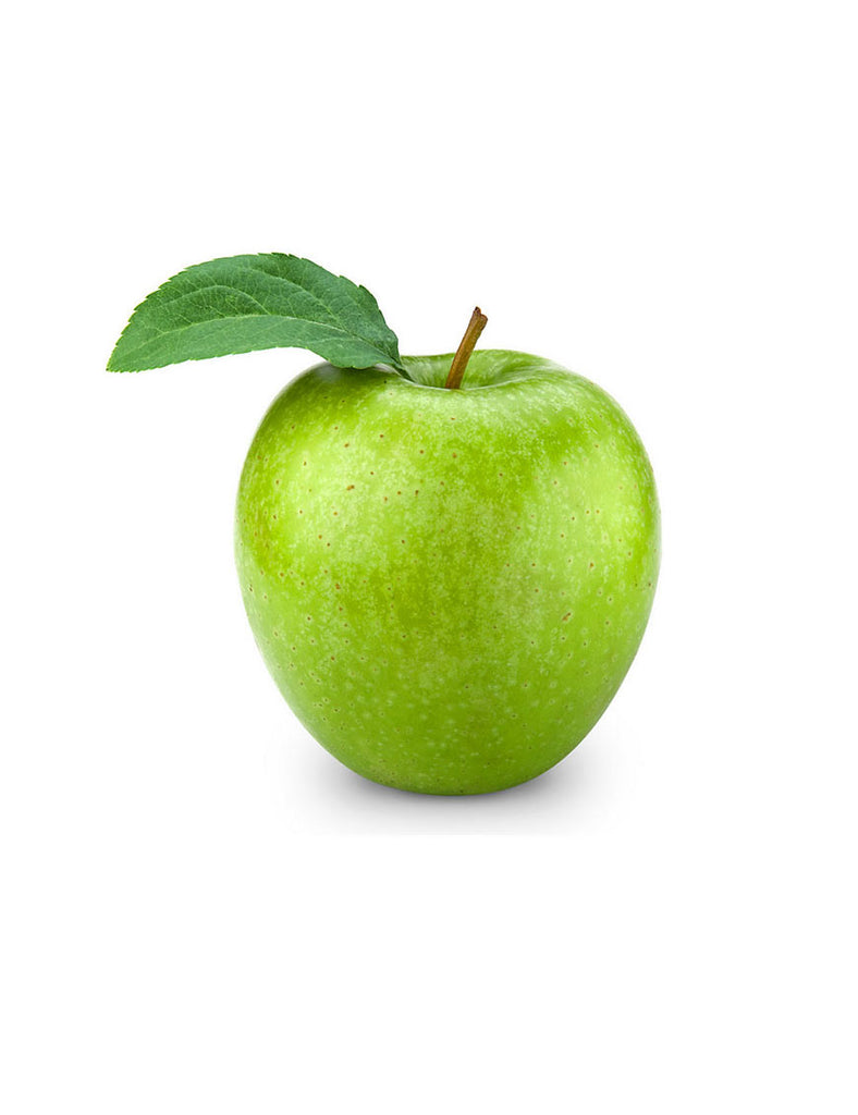 quis autem veleuminium